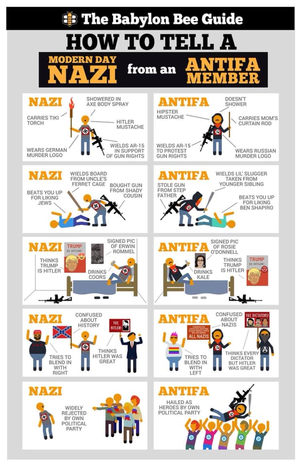 natsi vs. antifa