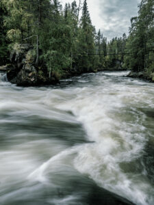 Viisi syytä miksi työpäivän jälkeen kannattaa lähteä luontoon